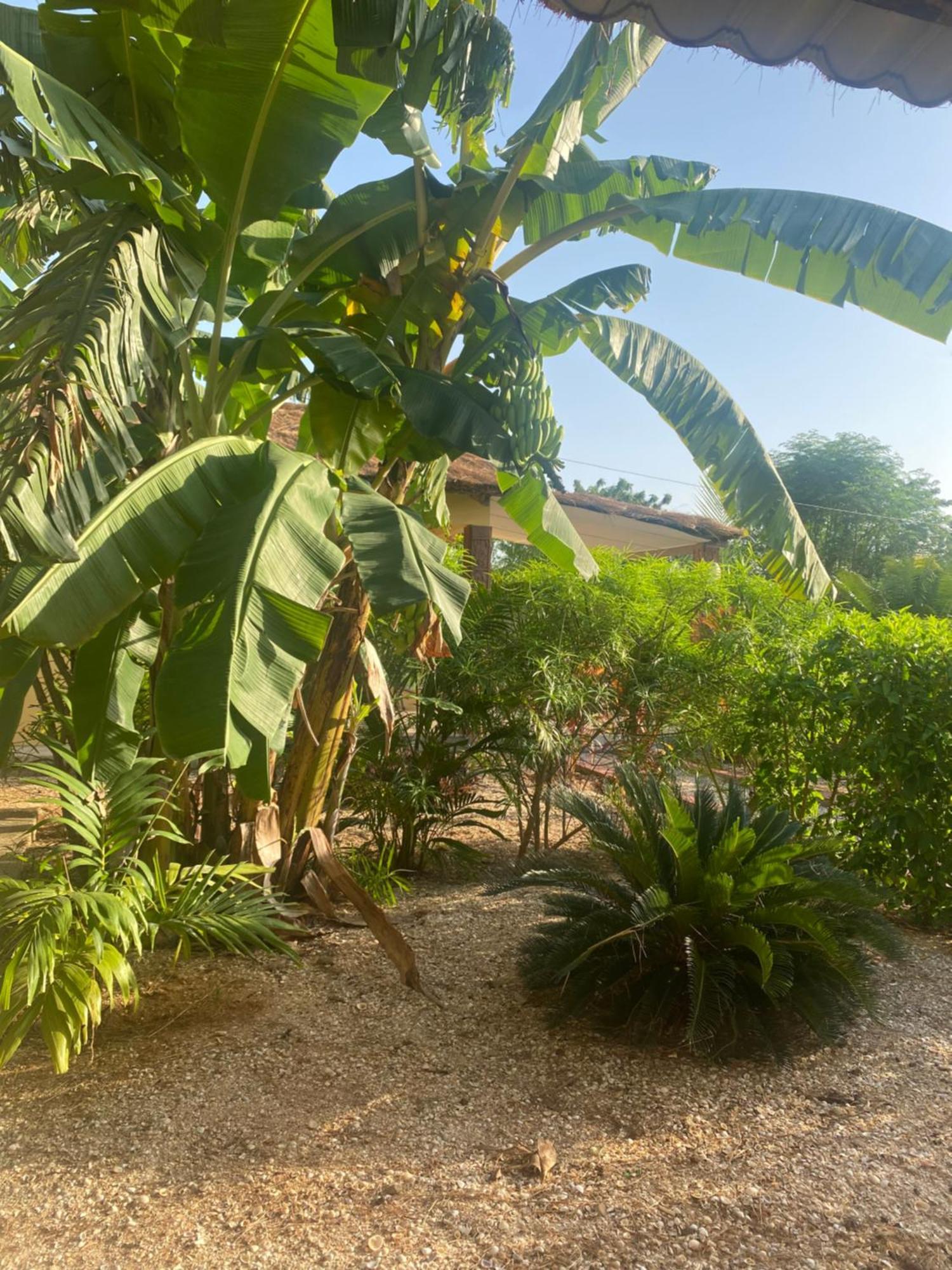 Villa Nemocotier Cap Skirring Kültér fotó